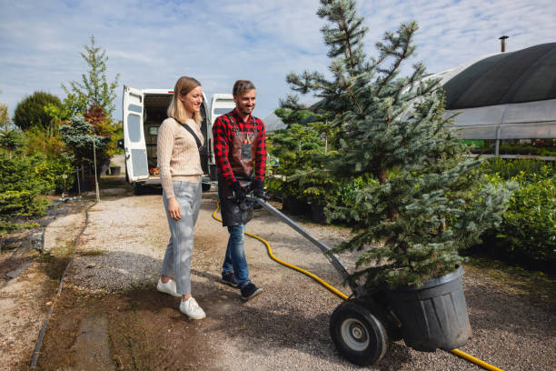 Best Tree Trimming and Pruning  in Woodville, MS